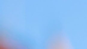 César Huerta finaliza su contrato con los Pumas de la UNAM en la próxima campaña.