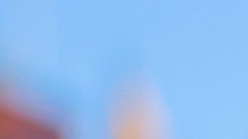 César Huerta finaliza su contrato con los Pumas de la UNAM en la próxima campaña.