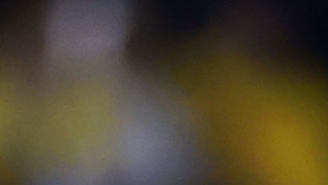 André Jardiné, director técnico del Club América, durante el partido de ida de las semifinales del torneo Apertura 2024 de la Liga MX ante la Máquina Cementara del Cruz Azul celebrado en el estadio Ciudad de los Deportes.