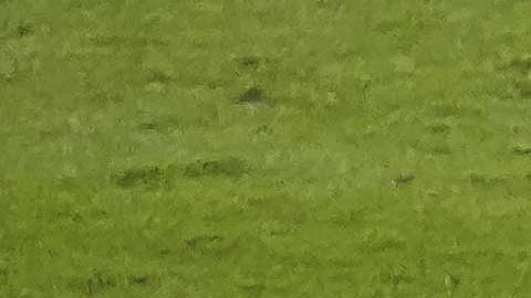 Luis Ángel Malagón fue trasladado en el carrito de las emergencias.