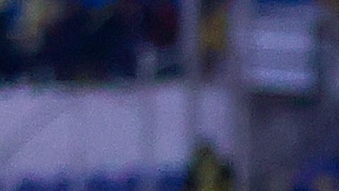 Jugadores de América en festejo de gol.