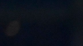 Monterrey, Nuevo León, 15 de diciembre de 2024. Jugadores del América en festejo, durante el partido de vuelta de la Final del torneo Apertura 2024 de la Liga BBVA MX, entre los Rayados del Monterrey y las Águilas del América, celebrado en el estadio BBVA. Foto: Imago7/