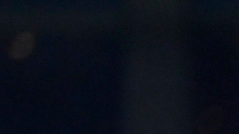 Monterrey, Nuevo León, 15 de diciembre de 2024. Jugadores del América en festejo, durante el partido de vuelta de la Final del torneo Apertura 2024 de la Liga BBVA MX, entre los Rayados del Monterrey y las Águilas del América, celebrado en el estadio BBVA. Foto: Imago7/