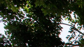 A RV vehicle is parked next to a tent on the streets in an industrial area of Los Angeles, Wednesday, July 31, 2019. Los Angeles has restored regulations barring people from sleeping at night in vehicles on residential streets or living anytime in vehicles within a block of parks, schools, preschools or daycare facilities. The City Council unanimously approved regulations Tuesday, July 30, that expired at the beginning of July. (AP Photo/Damian Dovarganes)