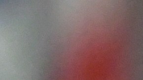 Trump asegura que Jimmy Carter fue un líder de la nación más grande de la historia