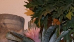 Julián Gil y Valeria Marín