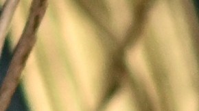 Justin Baldoni se prepara para contrademandar a Blake Lively, según su abogado