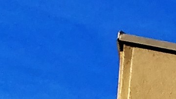 Ofrece descuentos en edredones para vestir la cama.