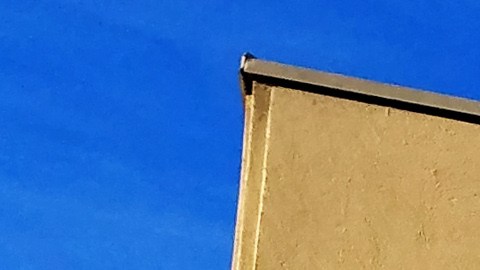 Ofrece descuentos en edredones para vestir la cama.
