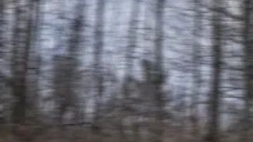 La Ford Expedition SSV 2025 para la Policía