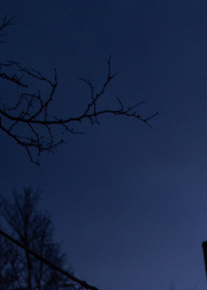 Luces navideñas en el exterior de los autos está prohibido.