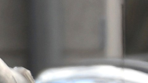Luigi Mangione comparece ante tribunal de Nueva York y enfrenta cargos elegibles a la pena de muerte