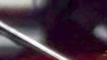 Luis Miguel Aracely Arámbula