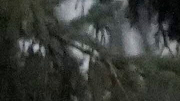 Emergencia en Madison, Wisconsin, tras terrible tiroteo en una escuela.