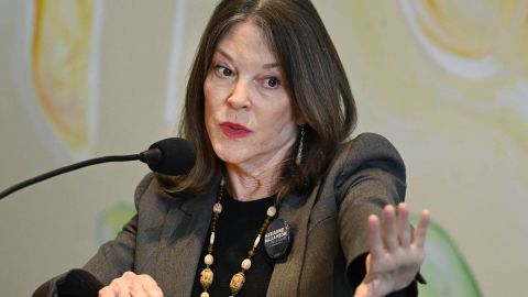 Marianne Deborah Williamson, exitosa escritora