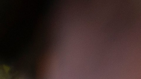 Trump deportará a 150,000 mexicanos y centroamericanos, según experto en migración