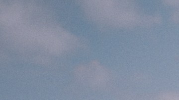 MUFASA: THE LION KING