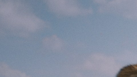 MUFASA: THE LION KING