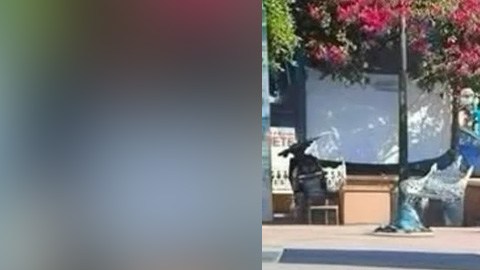 Mujer sorprendida robando