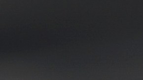 This undated image provided by the Bureau of Land Management shows the bat Honey Bunches of Myotis. (Emma Busk/Bureau of Land Management via AP)