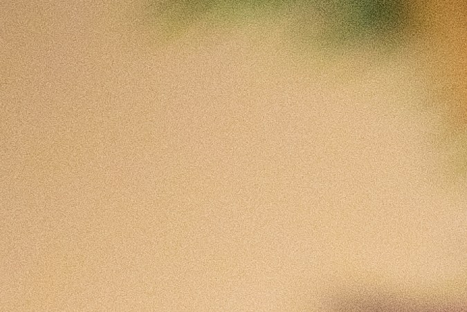 Algunas personas deciden pasar estas fiestas de fin de año solas.