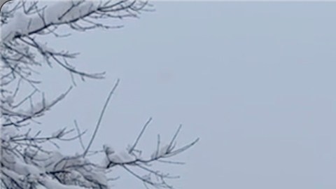 Una persona limpia la nieve de la acera en Lowville, Nueva York, el sábado 30 de noviembre.