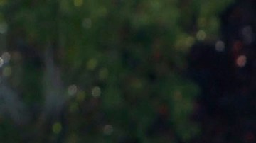 FILE - In this Nov. 12, 2012 file photo, a Sacramento Police Officer makes a traffic stop in Sacramento, Calif. The California Supreme Court is set to issue a ruling on police authority to conduct searches. The decision expected Monday, Dec. 5, 2016, will address police power to search people during traffic stops. At issue is whether police must first make an arrest for a traffic violation before conducting a search or can conduct a search beforehand as long as the person is later arrested, even for an unrelated crime. (AP Photo/Rich Pedroncelli, File)