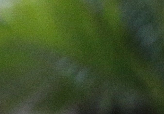 In this April 2, 2015 photo, two year old Rottweiler Brutus, who was recently fitted with prosthetics on all four paws, and is currently learning to use them, waits to go for a walk at his owner's home in Loveland, Colo. Brutus lost all four paws to frostbite as a puppy while under care of a breeder, and his current owner began caring for him about a year ago. (AP Photo/Brennan Linsley)