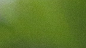 In this April 2, 2015 photo, two year old Rottweiler Brutus, who was recently fitted with prosthetics on all four paws, and is currently learning to use them, waits to go for a walk at his owner's home in Loveland, Colo. Brutus lost all four paws to frostbite as a puppy while under care of a breeder, and his current owner began caring for him about a year ago. (AP Photo/Brennan Linsley)