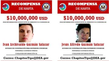 Recompensa por Los Chapitos