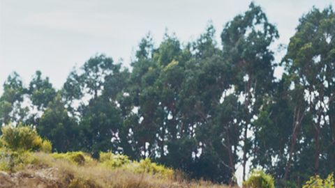 Referencia de la Toyota Hilux
