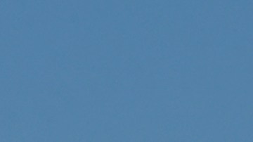 El pasajero no identificado supuestamente se puso rebelde y miembros de la tripulación lo detuvieron.