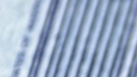 Seguro Social no cobrado