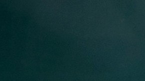 Seguro Social para trabajadores de gobierno