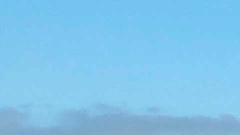 FILE - In this May 10, 2011 file photo, farm workers weed strawberry rows on a field outside Salinas, Calif. With temperatures climbing over 110 degrees recently in Californias crop abundant Central Valley and state regulators investigating four possible heat-related deaths in the fields, farmworker advocates are pushing for a bill that would strengthen the states already stringent heat illness regulations.  At least 16 farmworkers have died of heat-related causes since 2005 when California adopted the rules for providing shade and water. (AP Photo/Gosia Wozniacka, File)