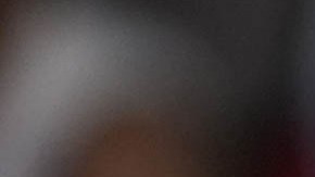 Donald Trump, presidente electo