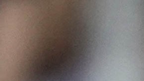 Donald Trump, presidente electo