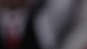 Donald Trump, presidente electo
