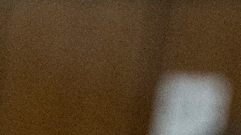 Trump fue acusado y condenado de 34 cargos de falsificación de documentos comerciales a cambio del silencio de Stormy Daniels.