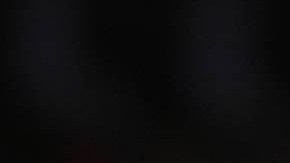 Donald Trump, presidente electo