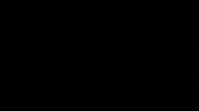 A woman holds a plate that include tacos al pastor and alambre at the inauguration of the Tlalpan Taco Fair featuring 20 different tacos, in Mexico City, Saturday, June 15, 2013. (AP Photo/Ivan Pierre Aguirre)(AP Photo/Ivan Pierre Aguirre)