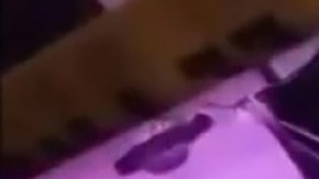 Violencia en Guanajuato