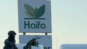 Violencia en Sinaloa