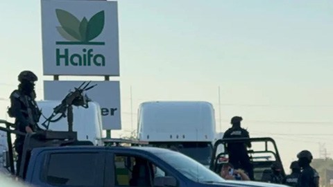 Violencia en Sinaloa