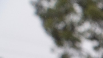 Exposición "El Milagro de La Guadalupana, The Experience" abre sus puertas a devotos de la virgen en EE.UU.