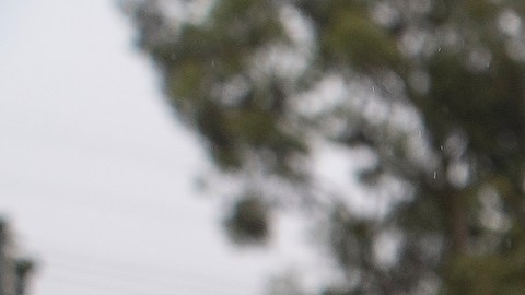 Exposición "El Milagro de La Guadalupana, The Experience" abre sus puertas a devotos de la virgen en EE.UU.