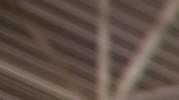 Los productos más asequibles: comparando Walmart y Dollar Tree