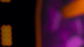 ‘Wendy en Tailandia’ el primer proyecto de Wendy Guevara lejos de Televisa