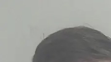 William y Zachary Zuloc