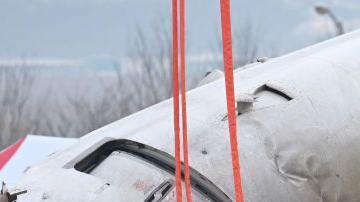 El impacto de un pájaro y el mal tiempo pudieron haber causado el accidente, pero las autoridades aún están investigando la causa exacta.